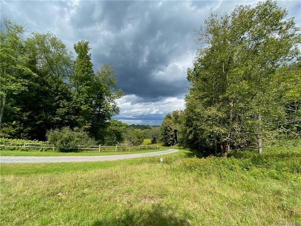 Lot 8 Timber DR, Bethel, NY 12720