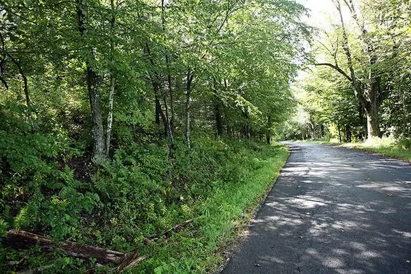 Fremont Center, NY 12736,0 Peters RD