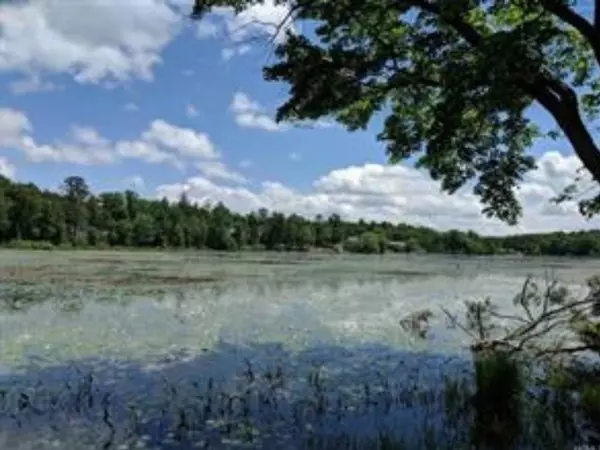 Glen Spey, NY 12737,119 Taras Shevchenko Rd/Elle DR