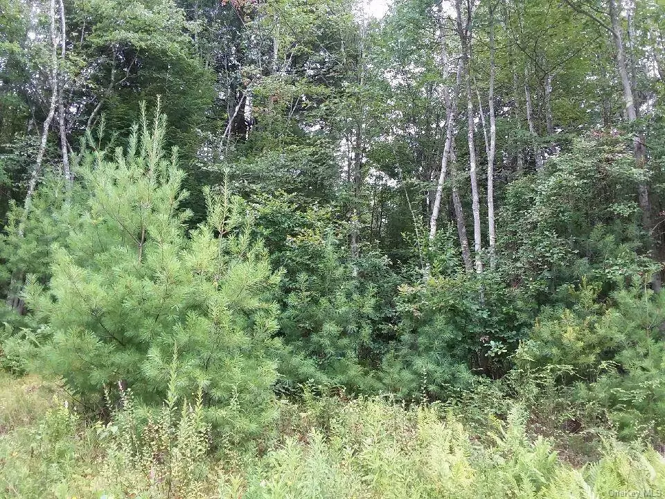 Bethel, NY 12720,Briscoe RD