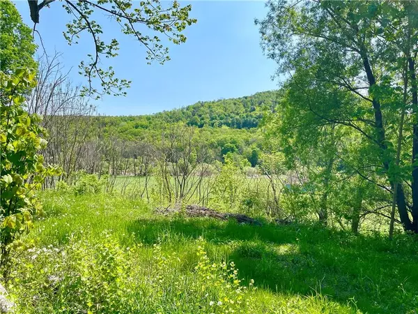 484 N Branch Callicoon Ctr RD, North Branch, NY 12766