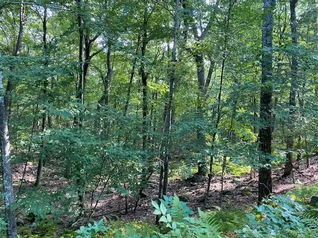 Glen Spey, NY 12737,Lot 1.16 Gregory RD