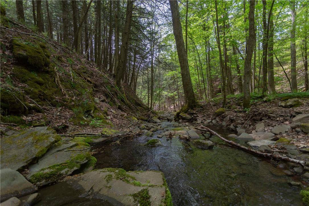 Arkville, NY 12406,14 Armstrong RD