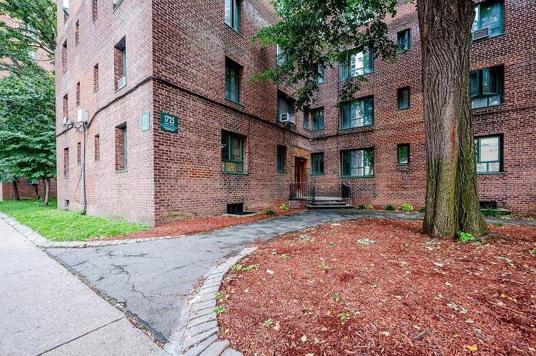 1725 Purdy ST #1, Bronx, NY 10462