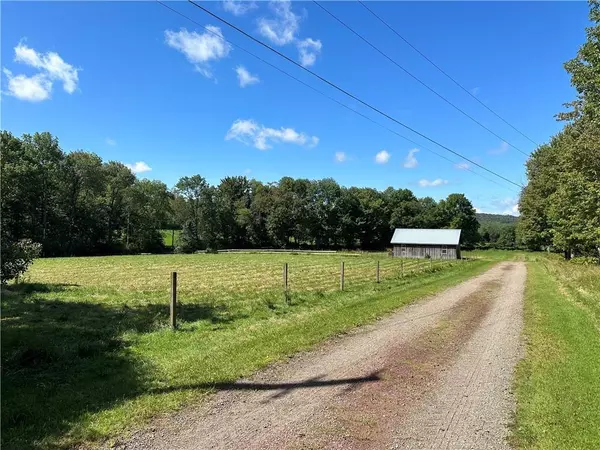 Youngsville, NY 12791,Menges RD