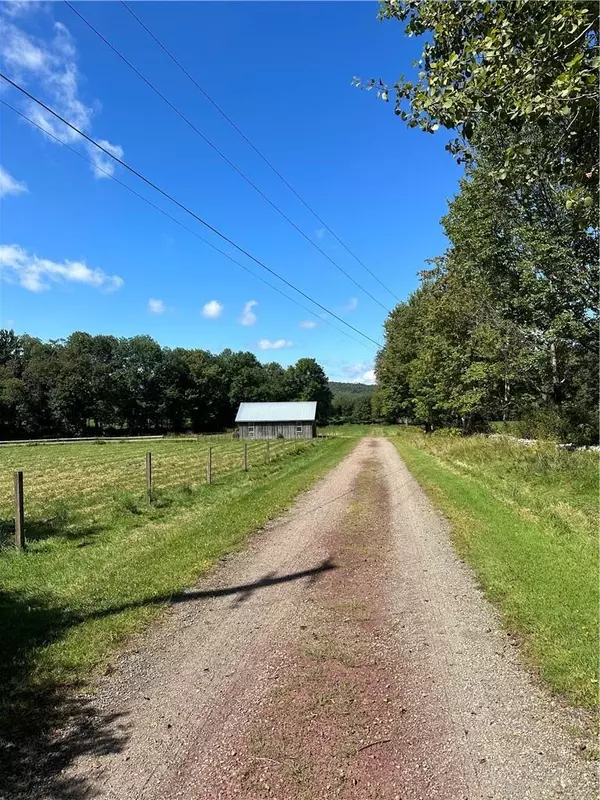 Youngsville, NY 12791,Menges RD