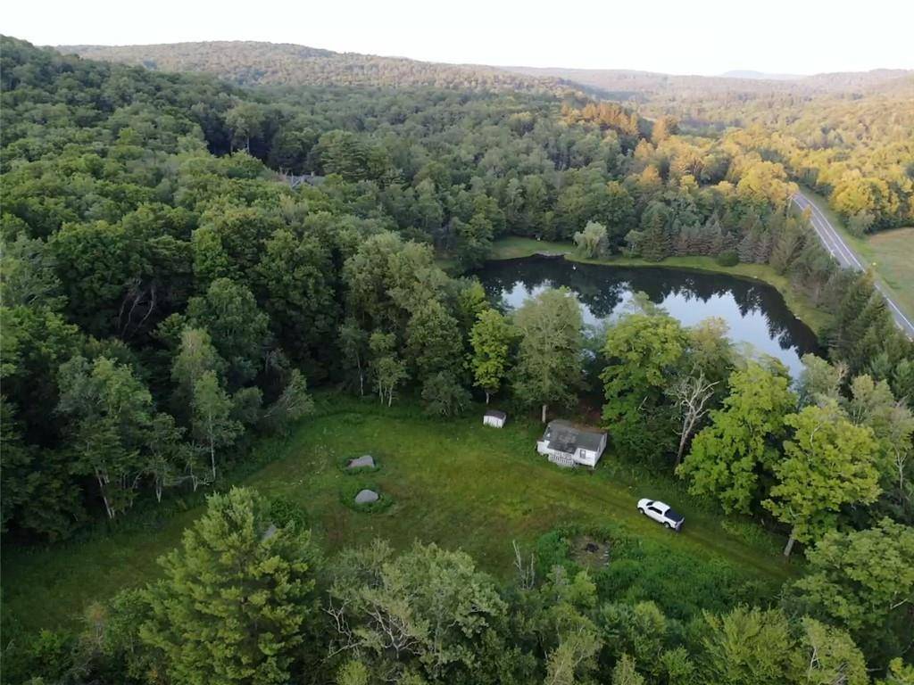 909 Debruce RD, Livingston Manor, NY 12758