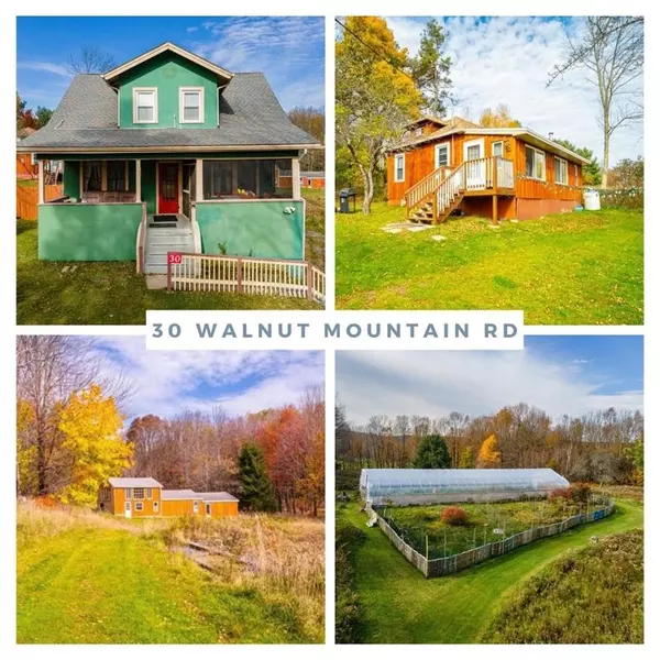 Liberty, NY 12754,30 Walnut Mountain RD