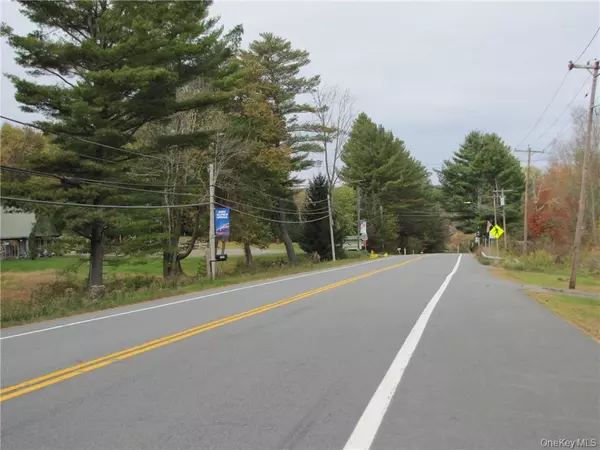 White Sulphur Spring, NY 12754,State Route 52