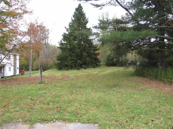 White Sulphur Spring, NY 12754,State Route 52