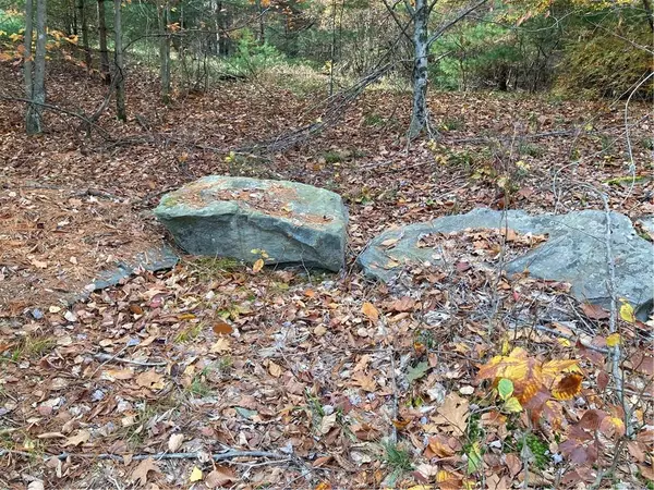 Mongaup Valley, NY 12762,140 Plank RD