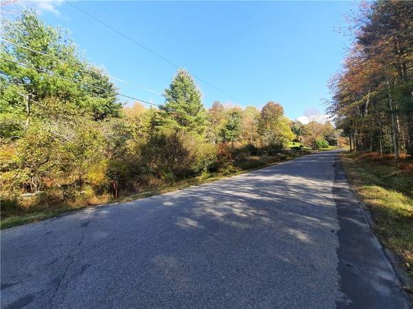 E Glen Wild RD, Rock Hill, NY 12775