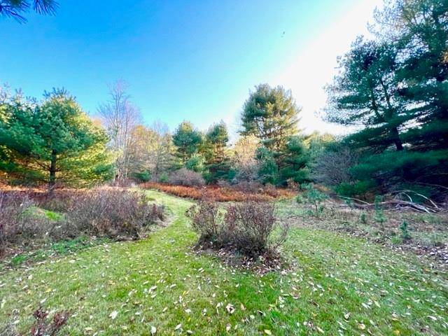 114 Hillside RD, Barryville, NY 12719