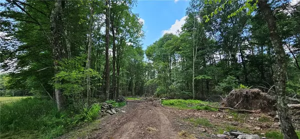 Cochecton, NY 12726,Lot 81.4 County Road 114