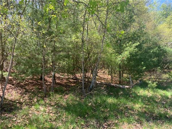 2-10 Lake Shore DR, Rock Hill, NY 12775