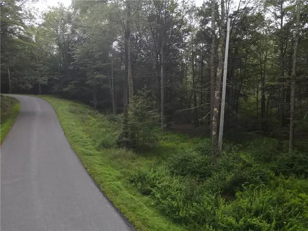 Cochecton, NY 12726,Lot 14 Tyler RD