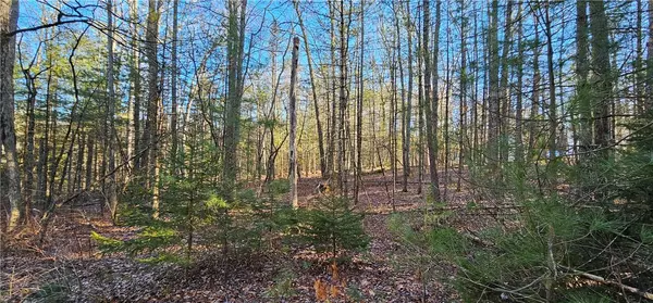 Barryville, NY 12719,Lot 57.1 Yulan-Barryville RD