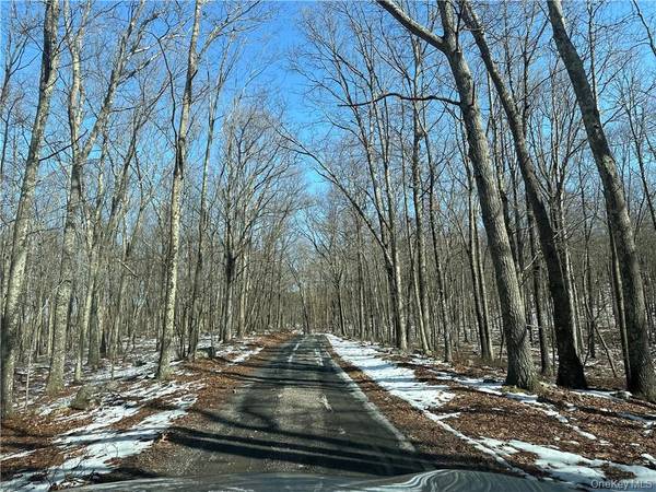 Port Jervis, NY 12771,2215 Greenville TPKE