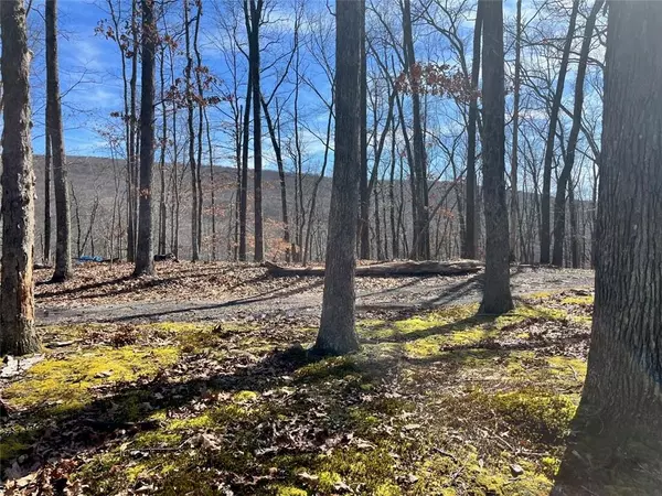 Port Jervis, NY 12771,Greenville TPKE