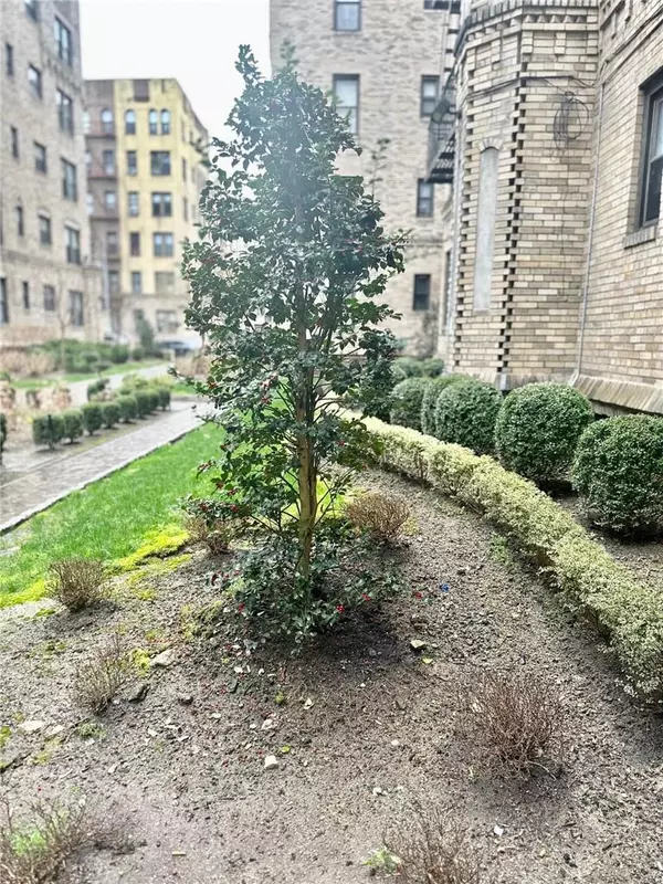 Bronx, NY 10462,2075 Wallace AVE #546