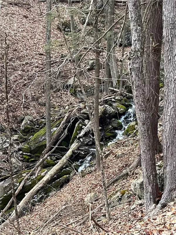Barryville, NY 12719,151 State Route 97