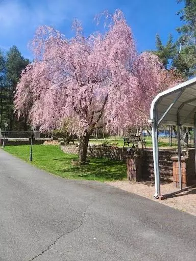 46 Beaver Brook RD, Call Listing Agent, NY 12792