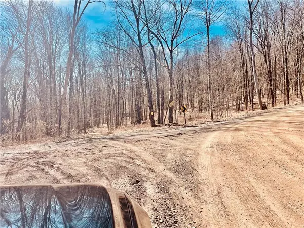 Other, NY 13733,340 Sherman Hill RD