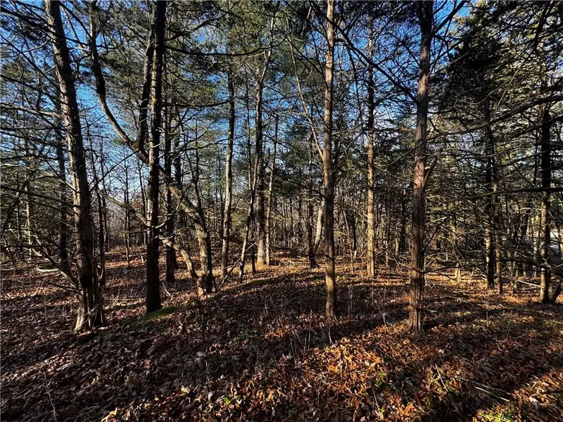 Lot 30 Mountain View DR, Elizaville, NY 12523