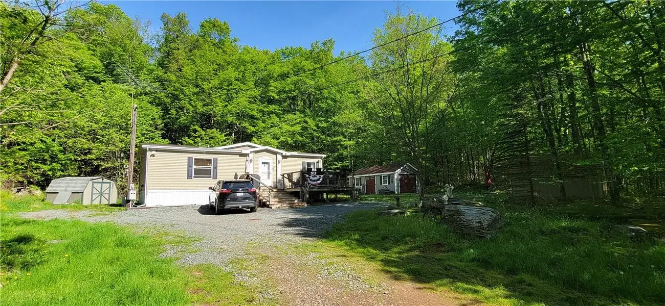 27 Birch LN, Livingston Manor, NY 12768