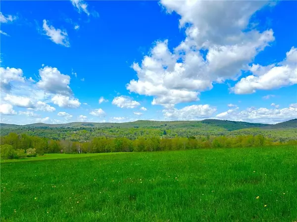 Liberty, NY 12754,6049 State Route 55