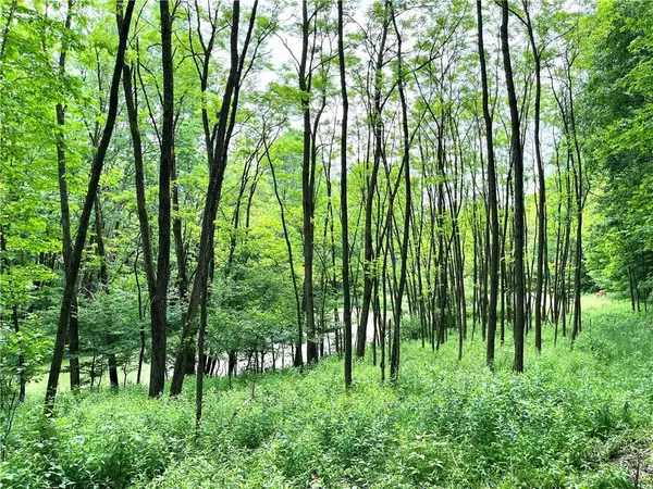 Livingston Manor, NY 12758,Dahlia LOT 1 RD