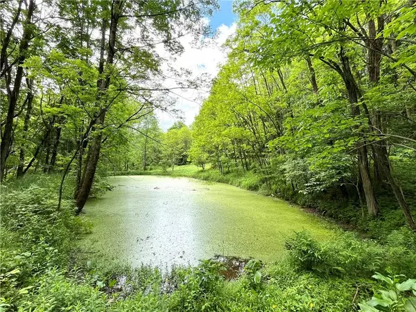 Livingston Manor, NY 12758,Dahlia LOT 1 RD