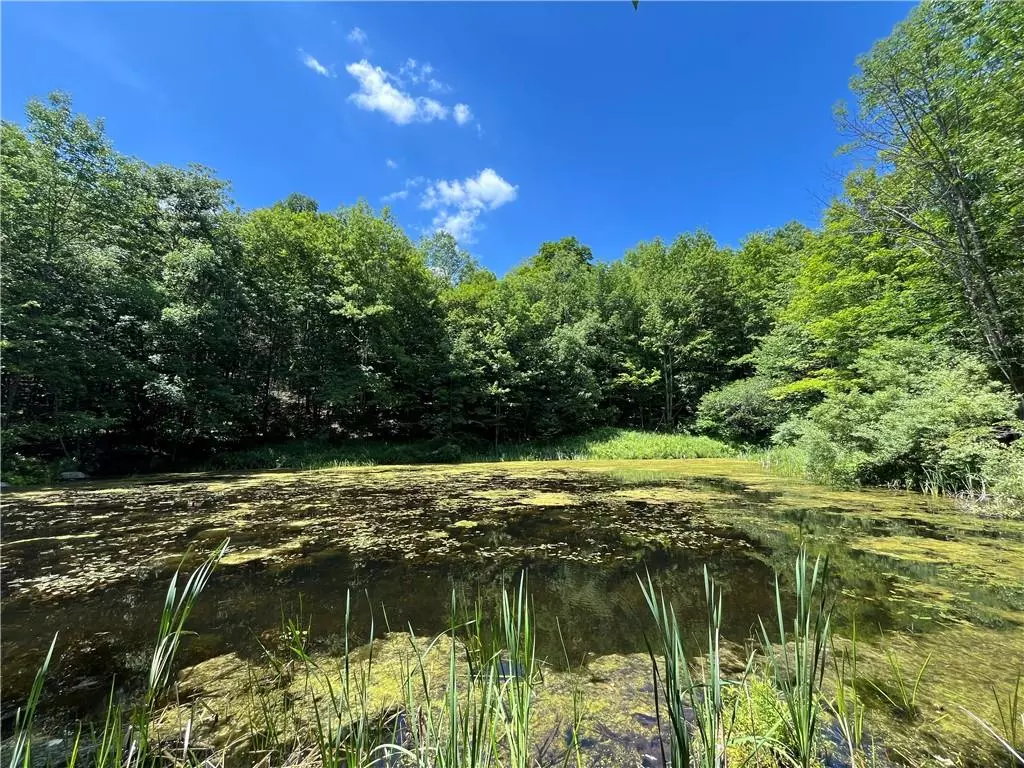 Livingston Manor, NY 12758,Dahlia LOT 2 RD