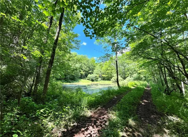 Livingston Manor, NY 12758,Dahlia LOT 2 RD