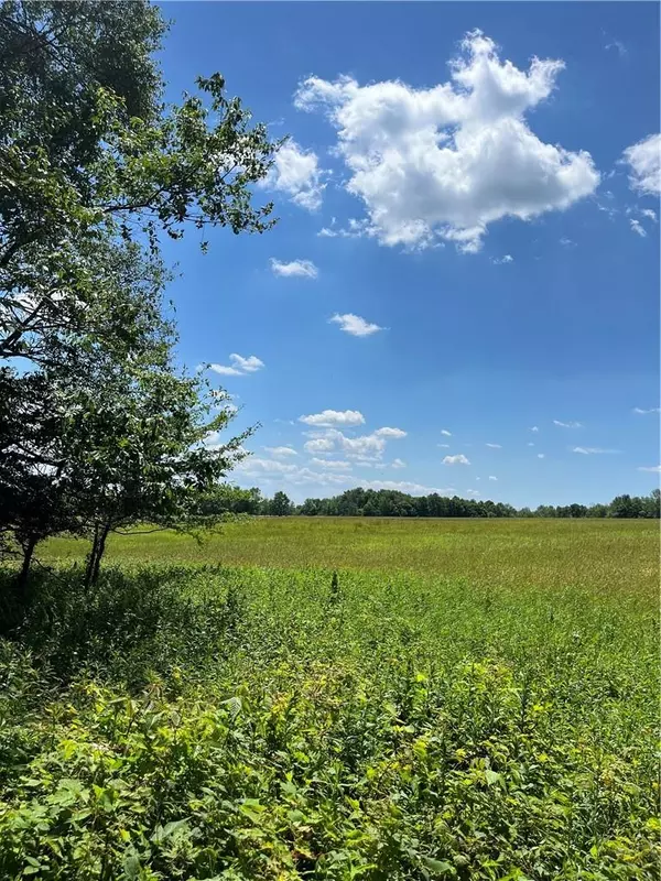 Livingston Manor, NY 12758,Dahlia LOT 2 RD