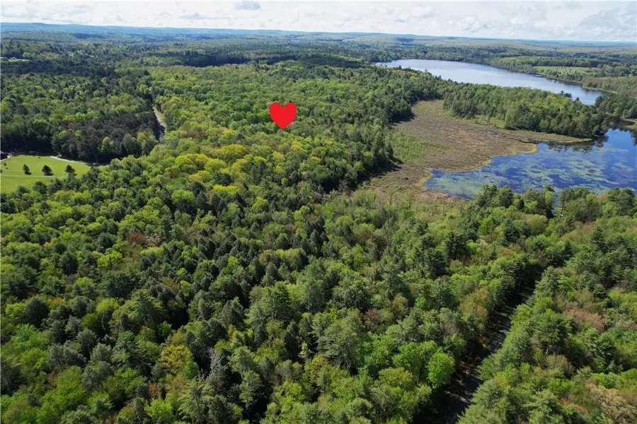 Lot 4 Deer Meadow RD, White Lake, NY 12786