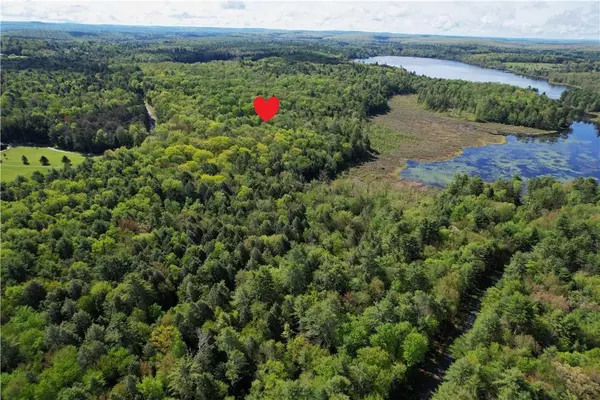 White Lake, NY 12786,Lot 4 Deer Meadow RD