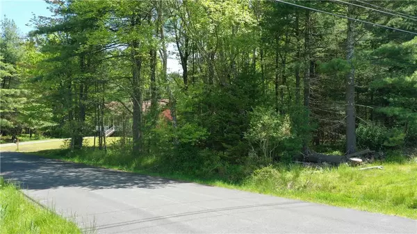 Monticello, NY 12701,Lot 2 Sycamore LN