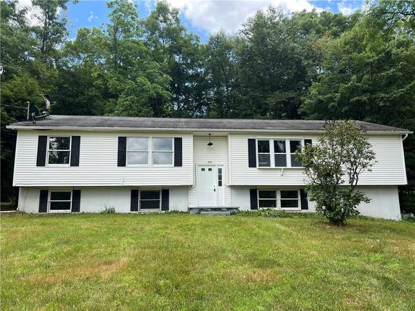 Port Jervis, NY 12771,314 Neversink DR