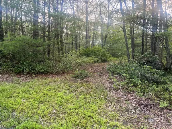 Hallenbach RD, Glen Spey, NY 12737