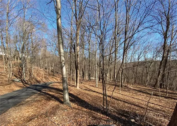 Irvington, NY 10533,0 Cyrus Field RD