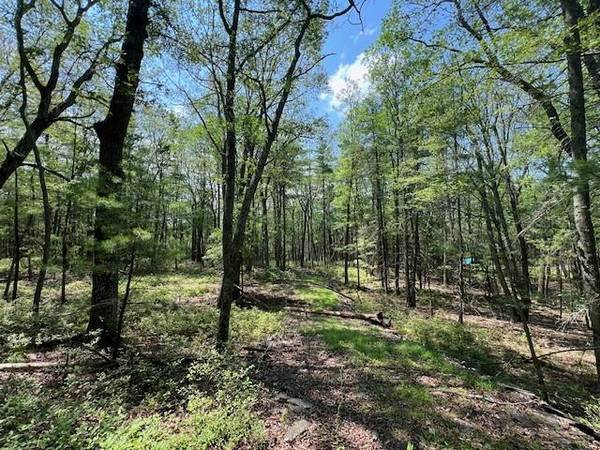 Glen Spey, NY 12737,Lot 18 Hunczak BLVD