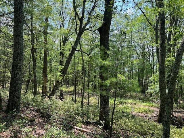 Glen Spey, NY 12737,Lot 18 Hunczak BLVD