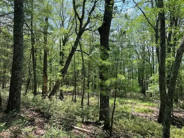 Glen Spey, NY 12737,Lot 18 Hunczak BLVD
