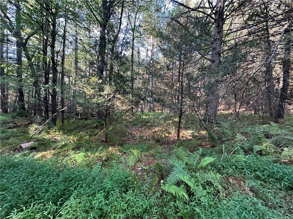 Barryville, NY 12719,Lot 15-6 Ward Brower Jr DR