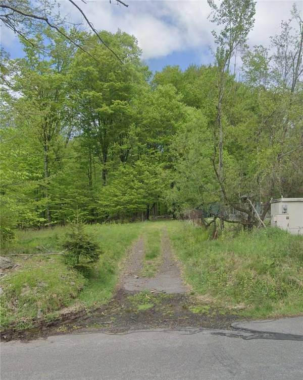 Mongaup RD, Monticello, NY 12701