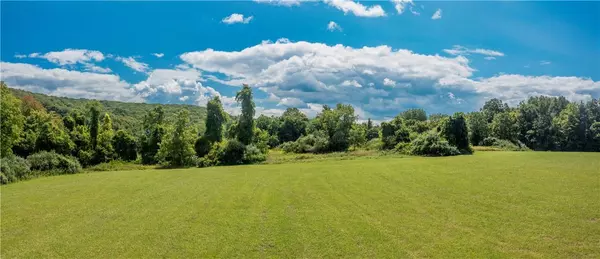 Patterson, NY 12563,245 Birch Hill RD
