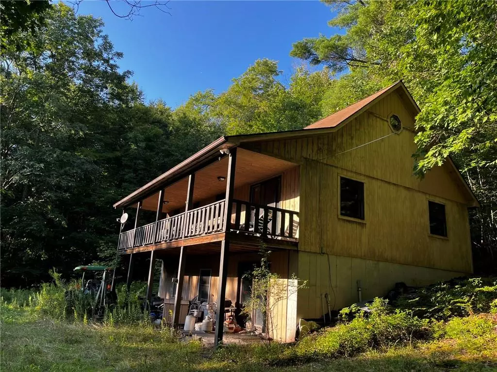 Downsville, NY 13755,47 Bear Mountain RD