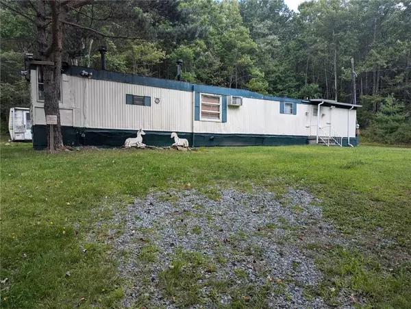 Swan Lake, NY 12783,1003 Briscoe RD