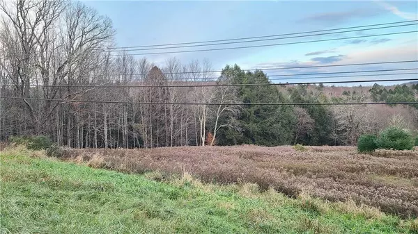 Ferndale, NY 12734,Old Route 17